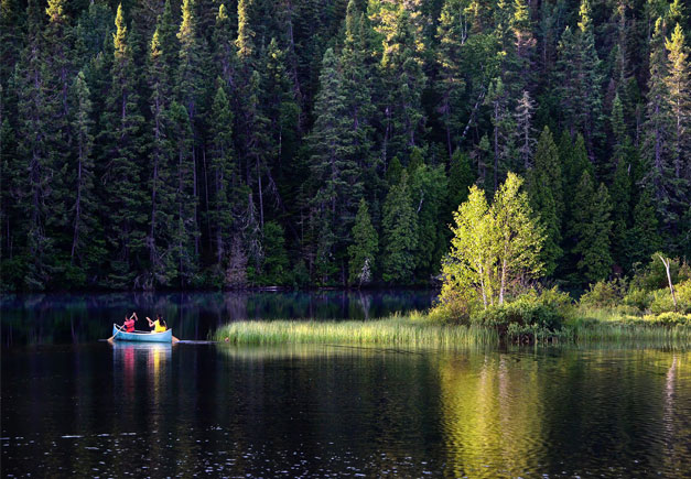 Comptoir-de-quebec-a-propos